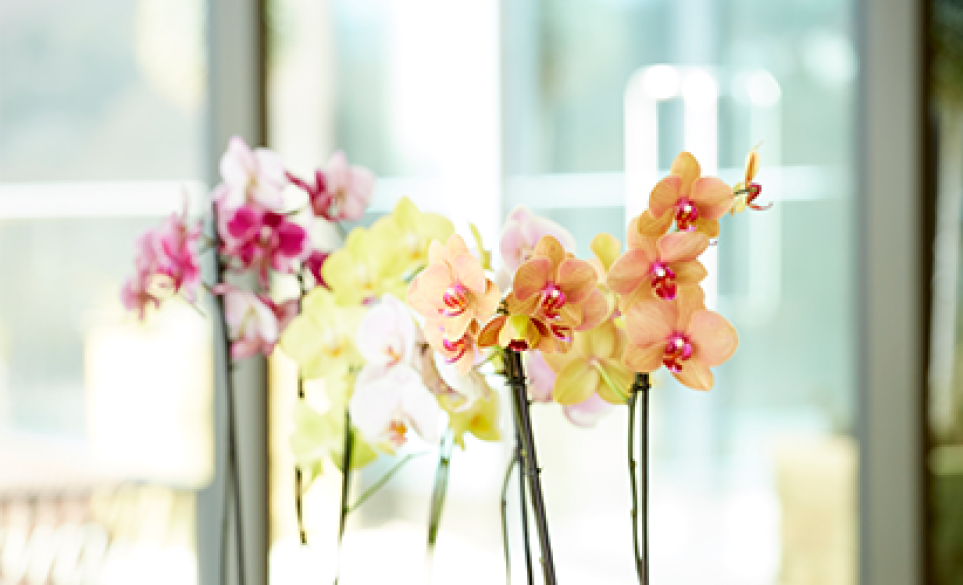 Zenith-AnnualReview-Reception-Flowers